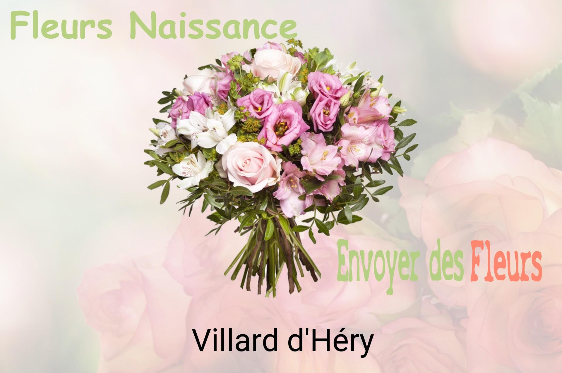 Bouquet de fleurs de naissance livré à Villard-d'Héry